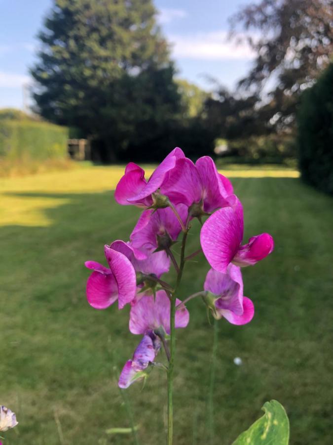 Croxton House B&B Kirmington 외부 사진